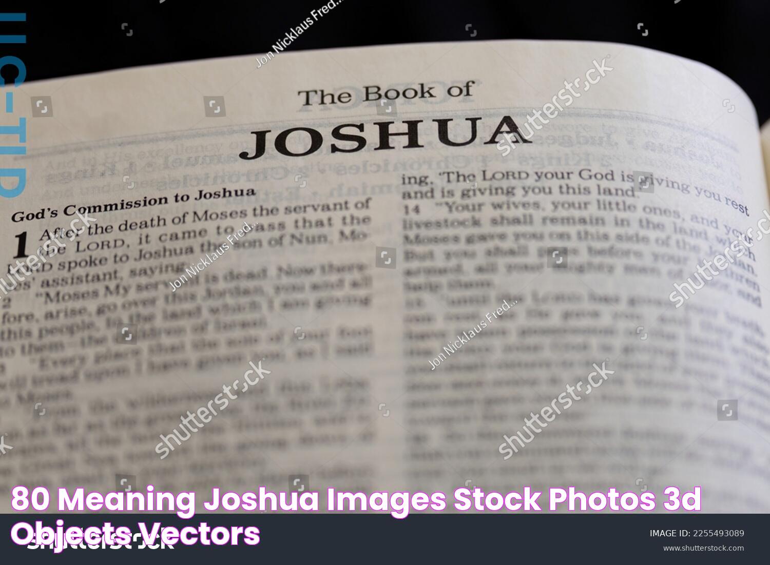 80 Meaning Joshua Images, Stock Photos, 3D objects, & Vectors