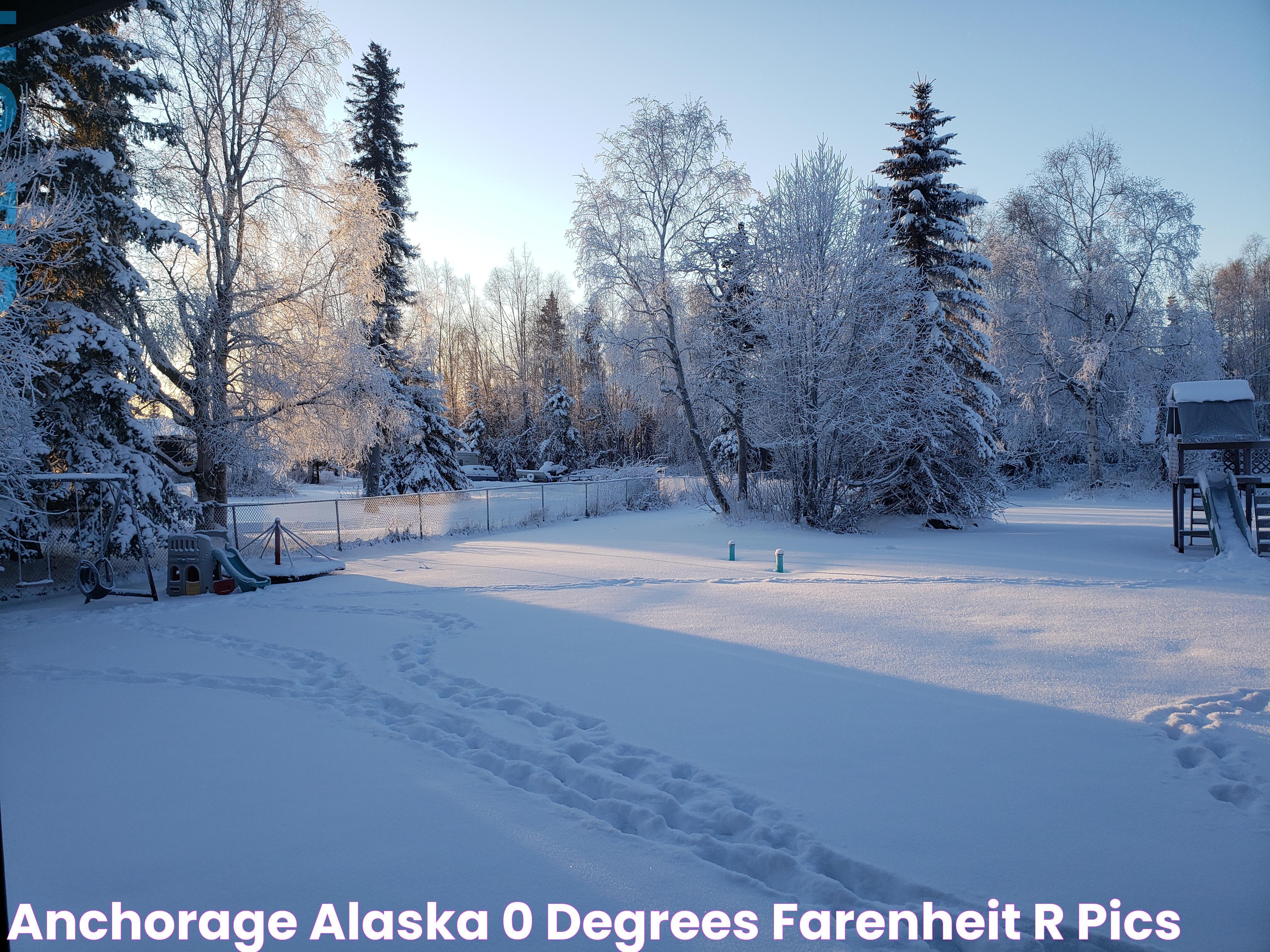 Anchorage Alaska 0 degrees farenheit r/pics