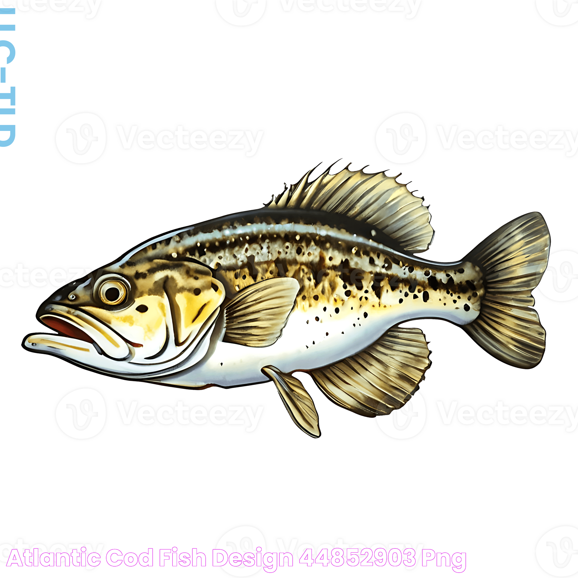 Atlantic Cod Fish design 44852903 PNG