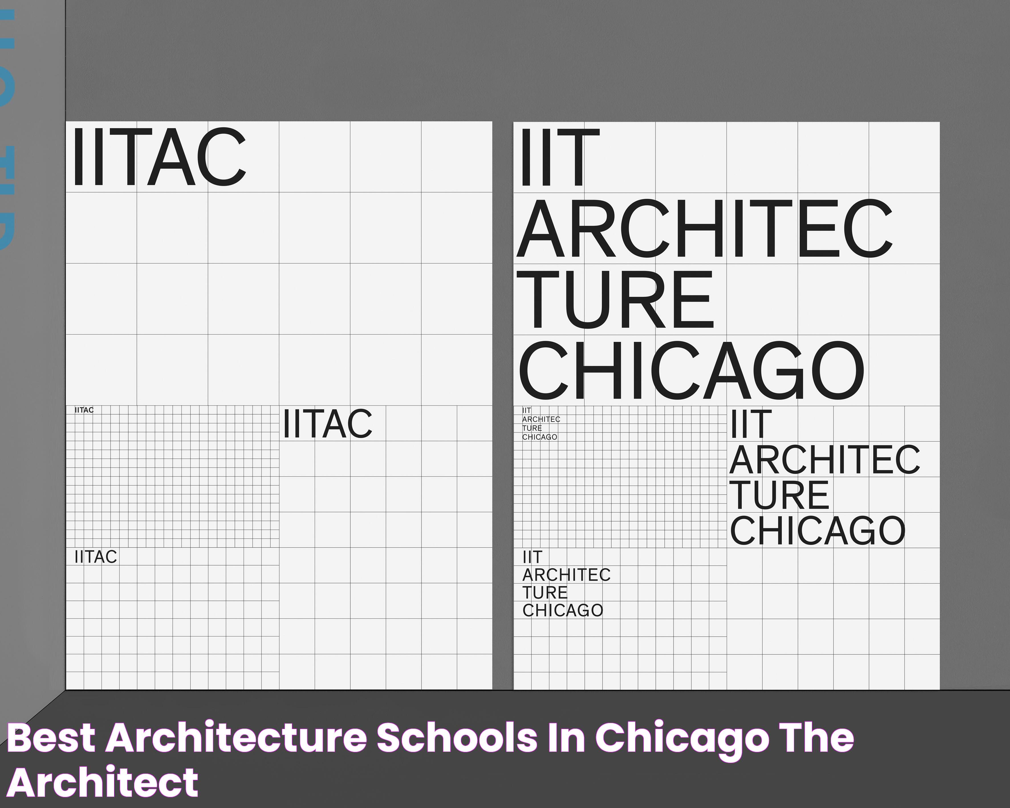 Best Architecture Schools In Chicago The Architect