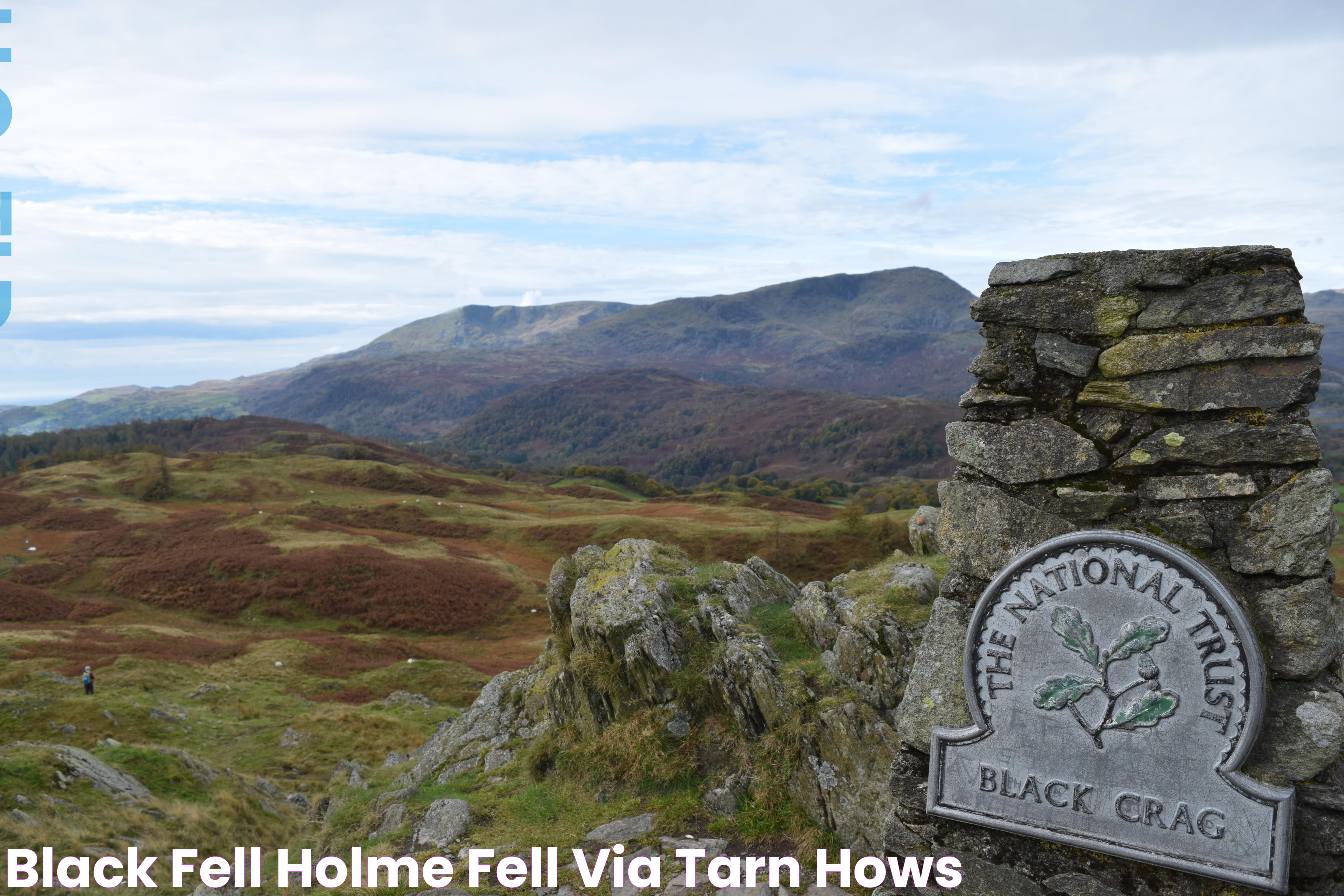 Black Fell & Holme Fell via Tarn Hows