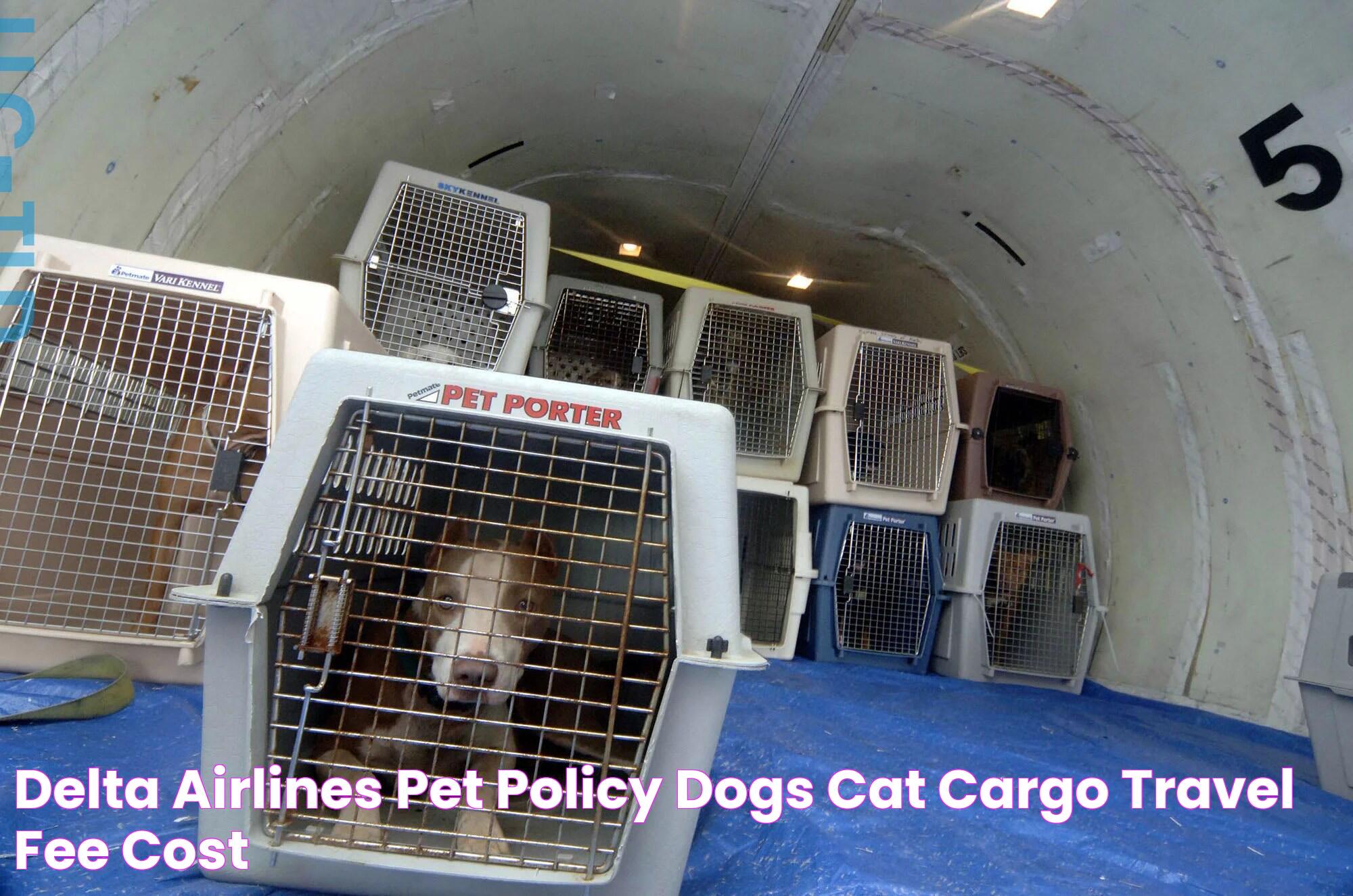 Delta Airlines Pet Policy, Dogs, Cat Cargo Travel Fee & Cost