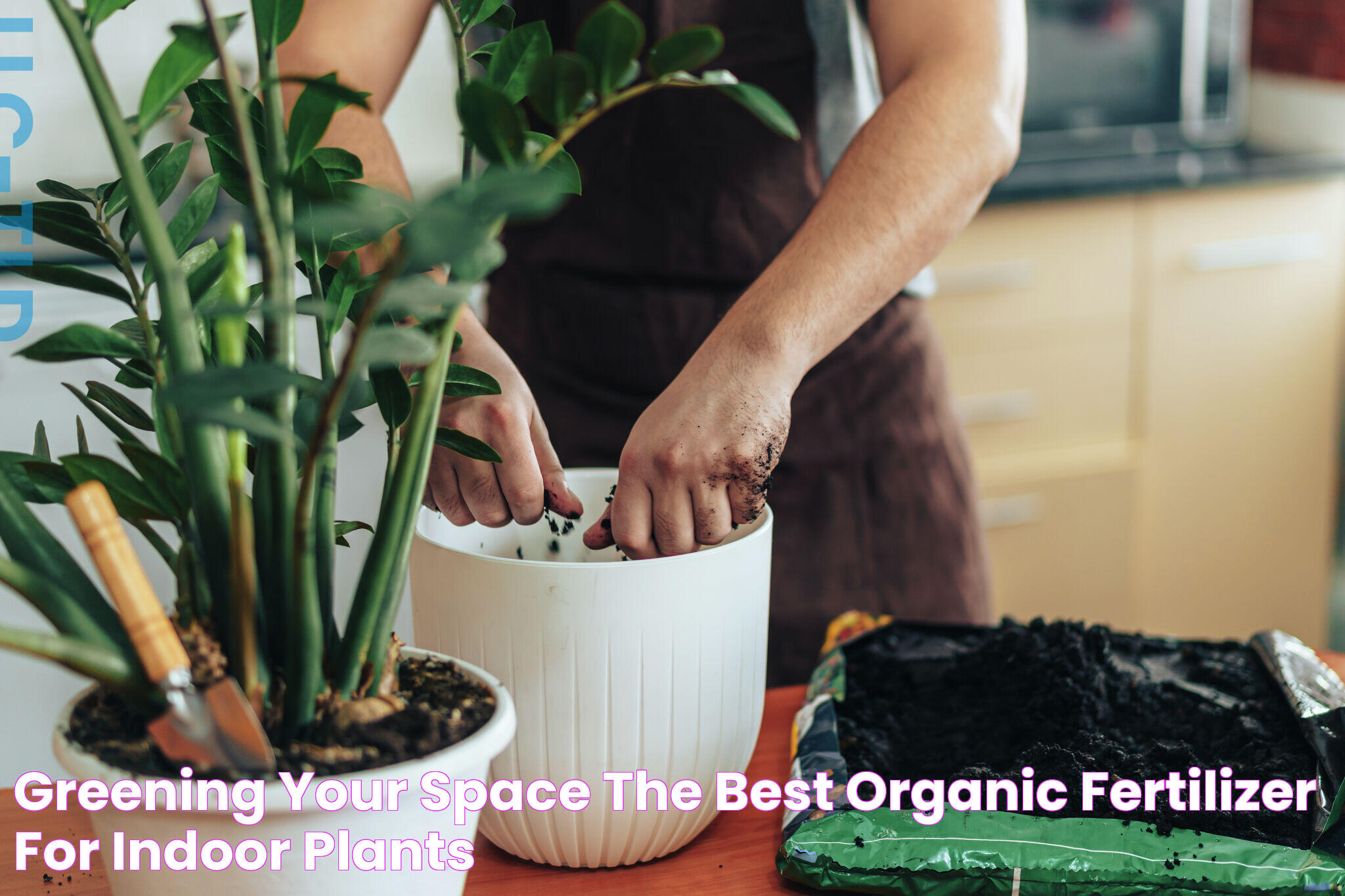 Greening Your Space The Best Organic Fertilizer for Indoor Plants