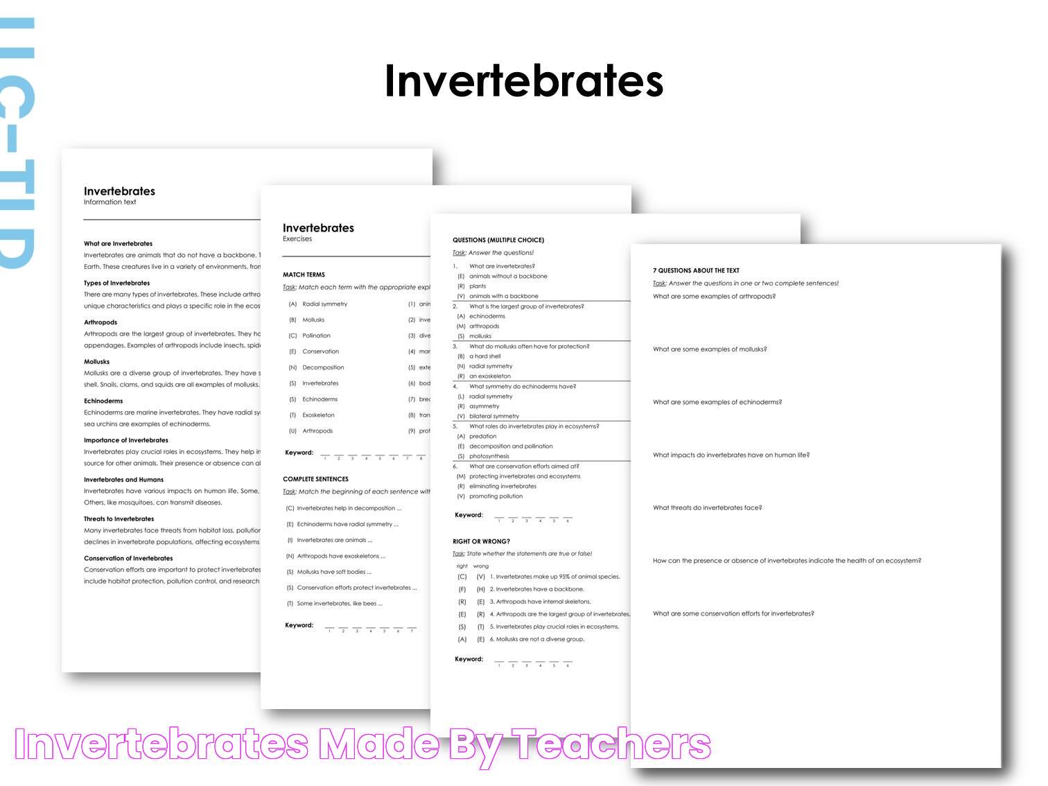 Invertebrates Made By Teachers