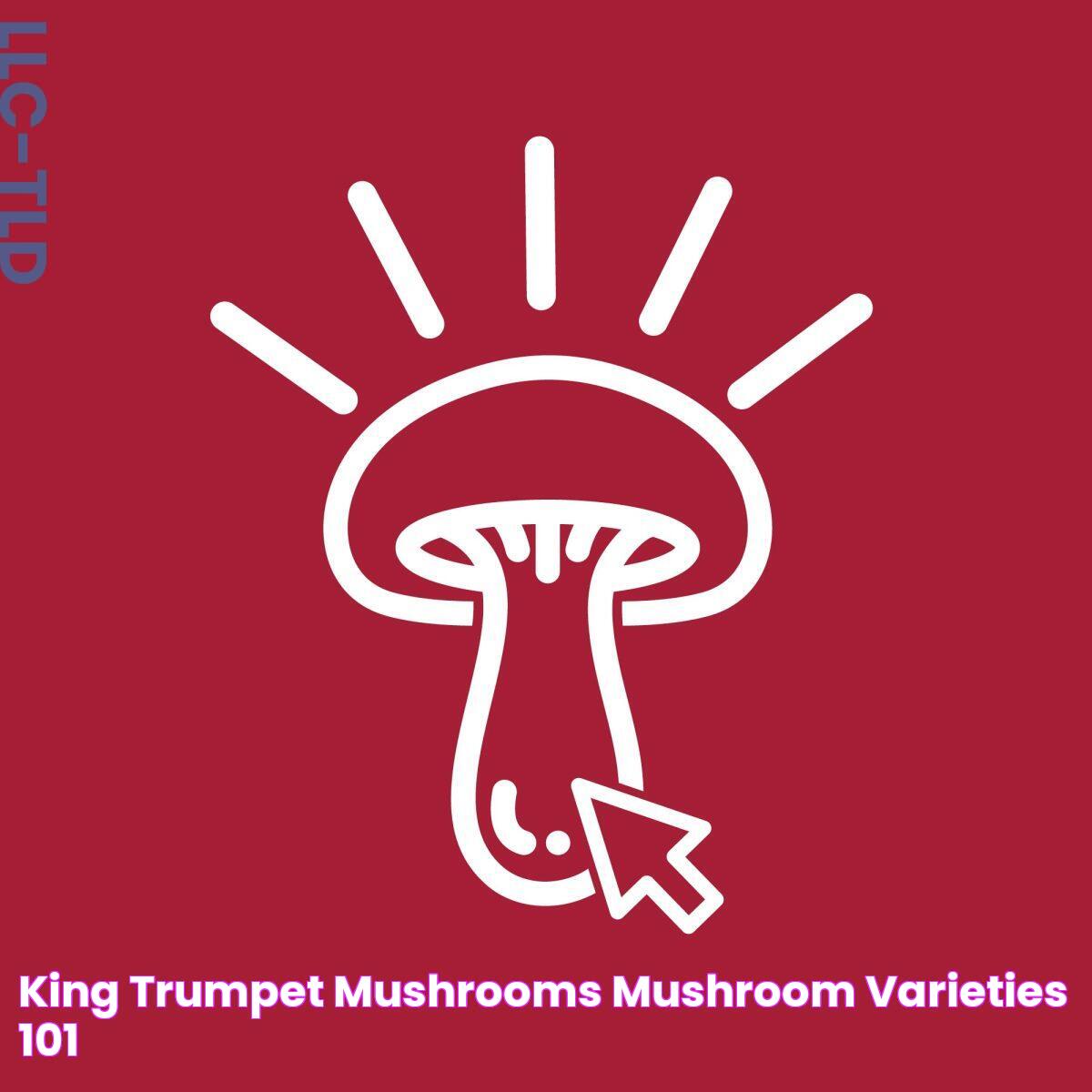 King Trumpet Mushrooms Mushroom Varieties 101