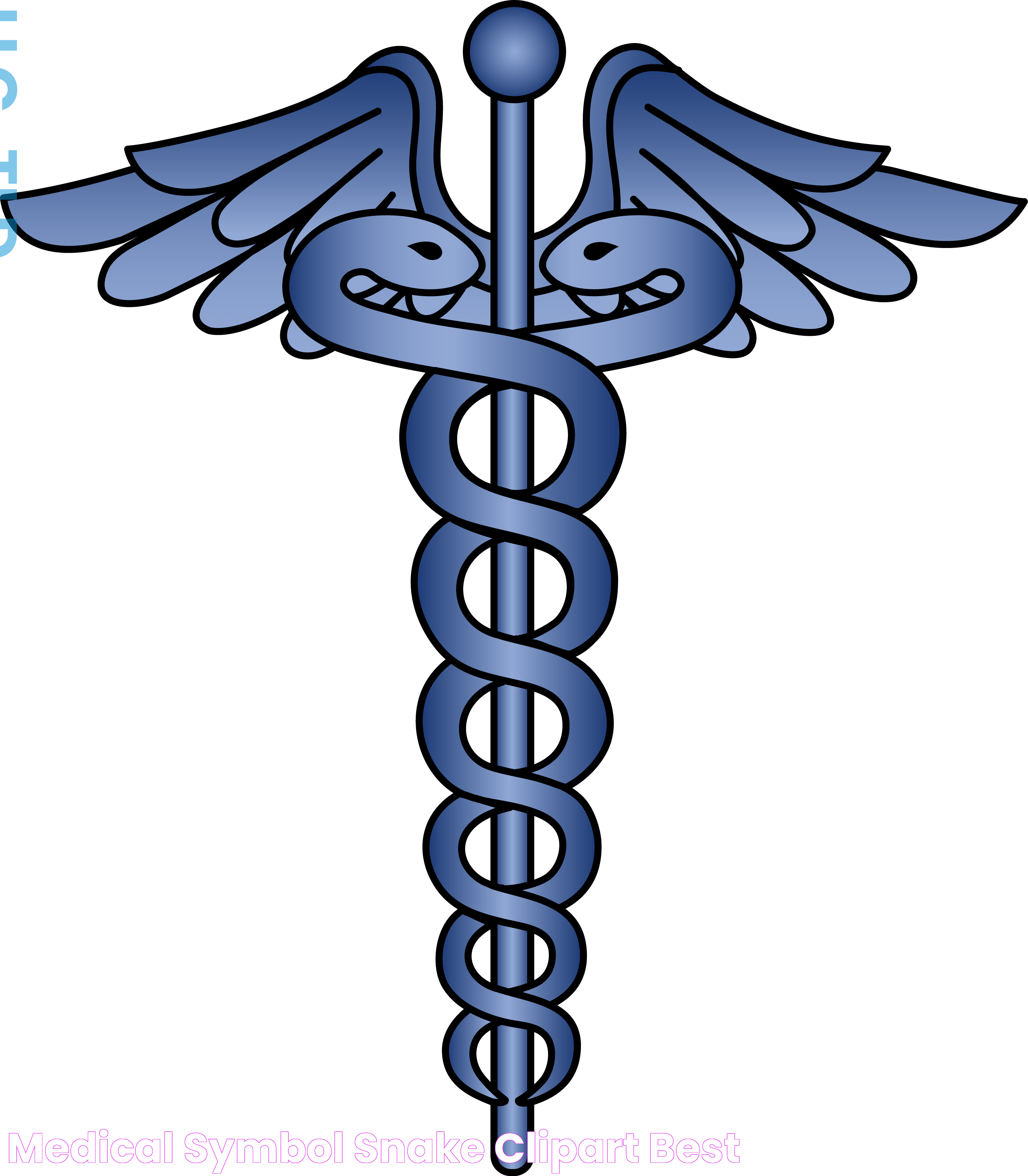 Medical Symbol Snake ClipArt Best