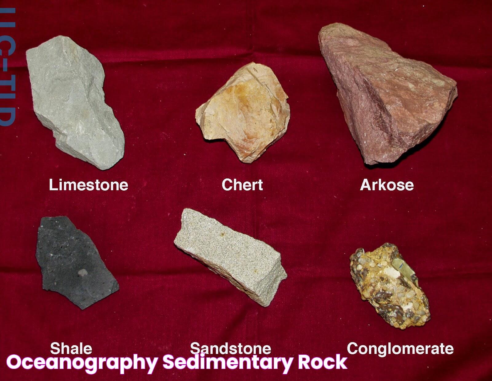 Oceanography Sedimentary Rock