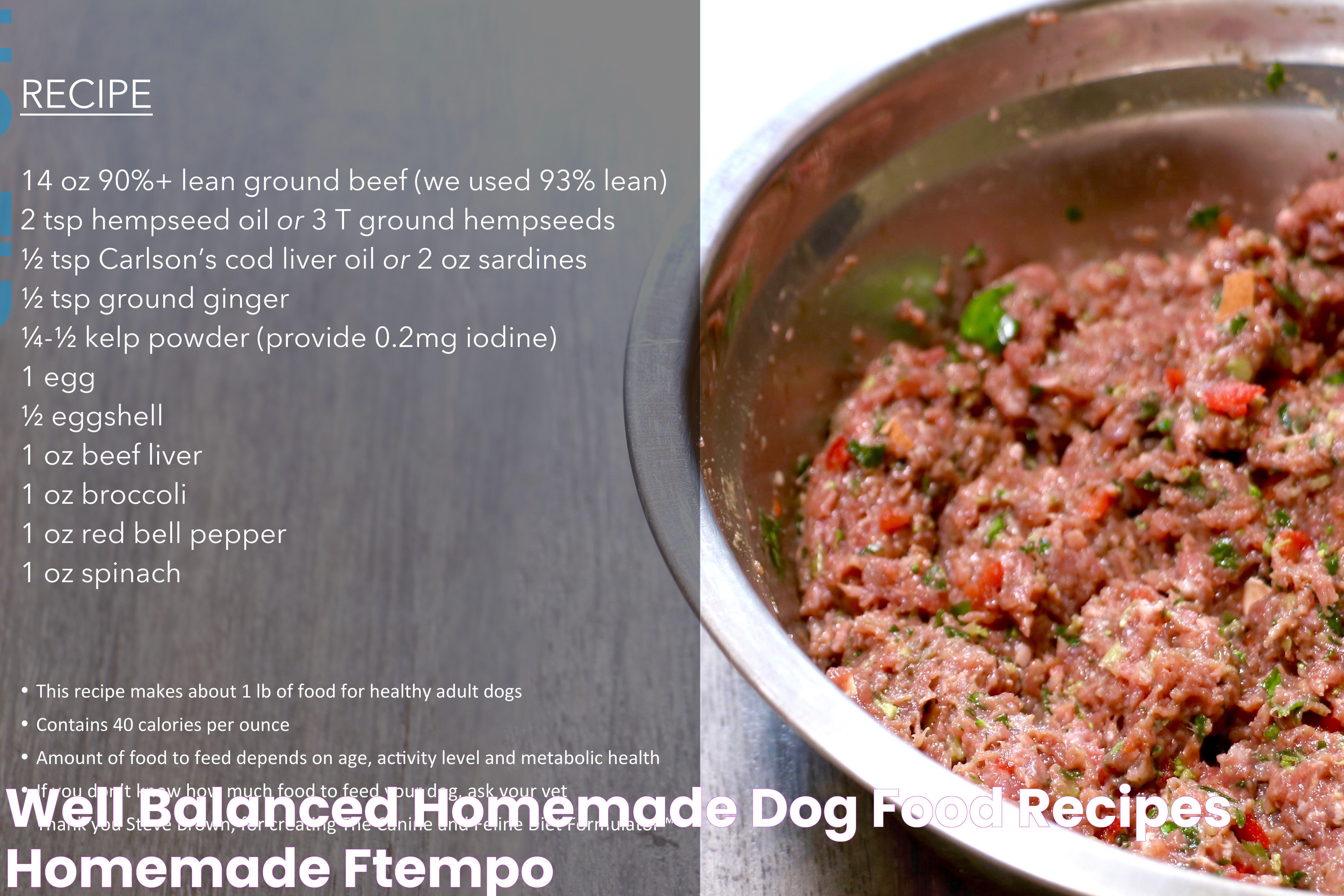 Well Balanced Homemade Dog Food Recipes Homemade Ftempo