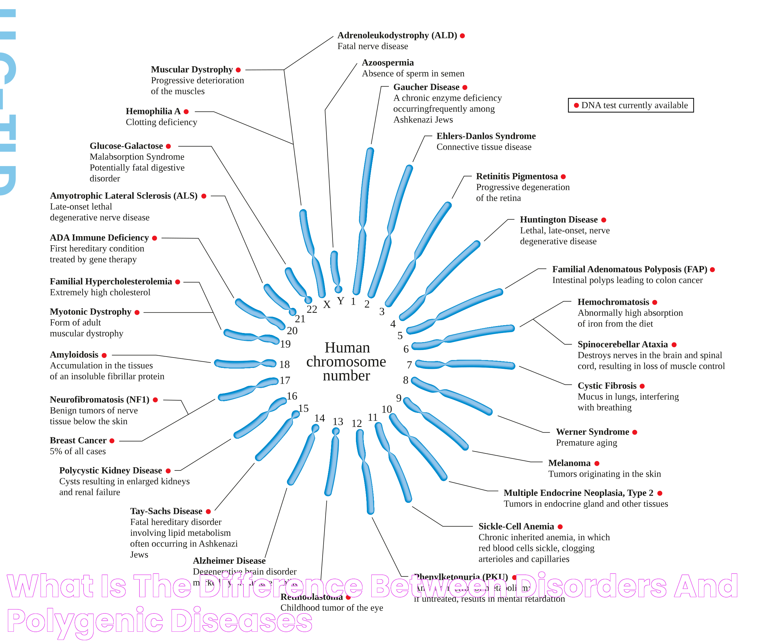 What is the Difference Between Disorders and Polygenic Diseases