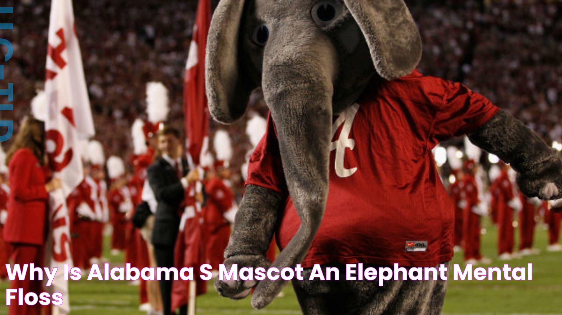 Why Is Alabama's Mascot an Elephant? Mental Floss