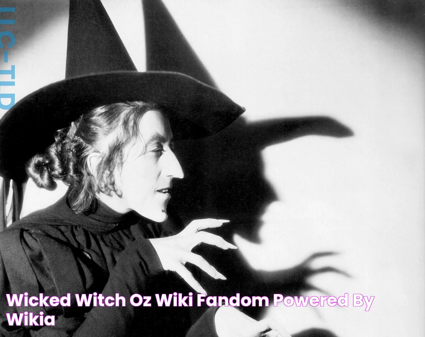 Wicked Witch Oz Wiki FANDOM powered by Wikia