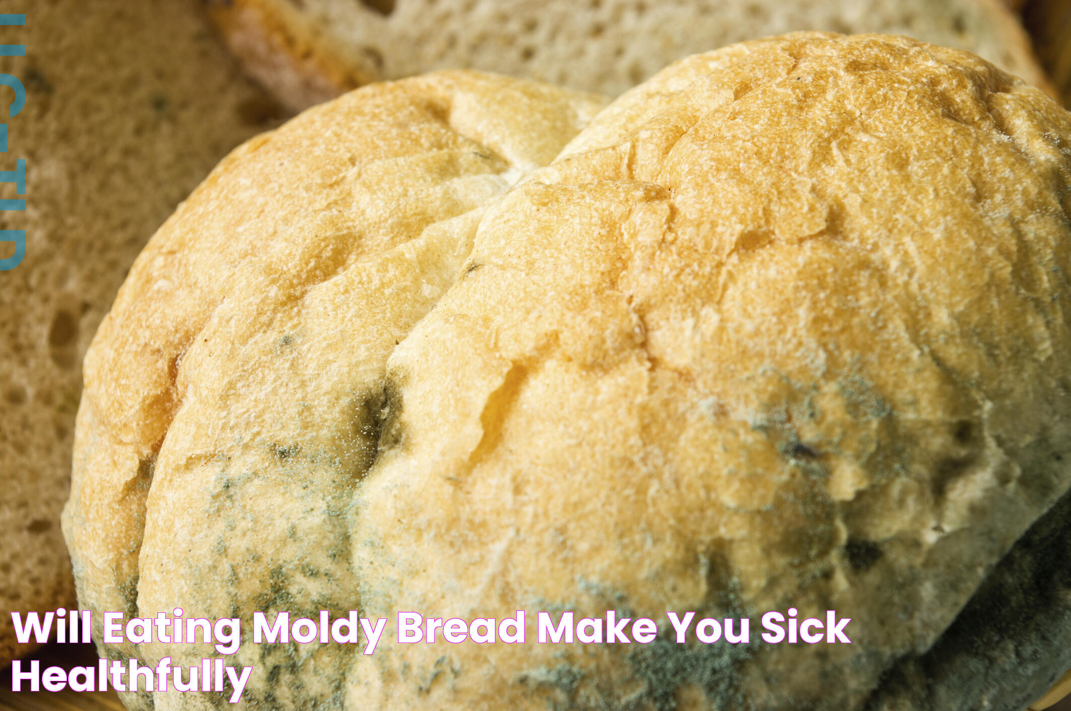 Will Eating Moldy Bread Make You Sick? Healthfully