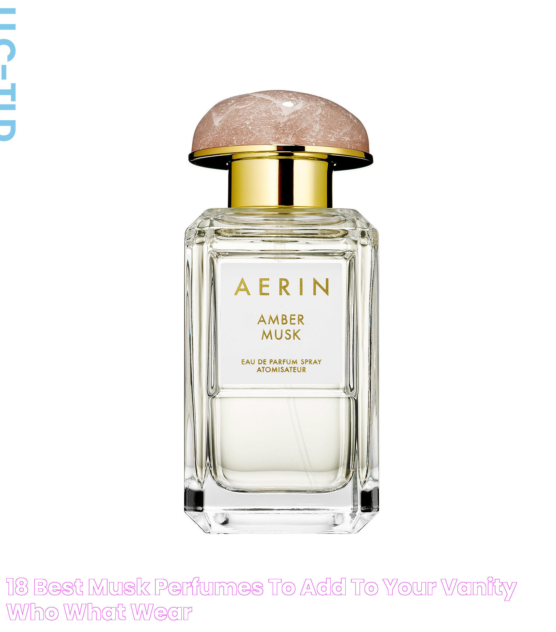 18 Best Musk Perfumes to Add to Your Vanity Who What Wear