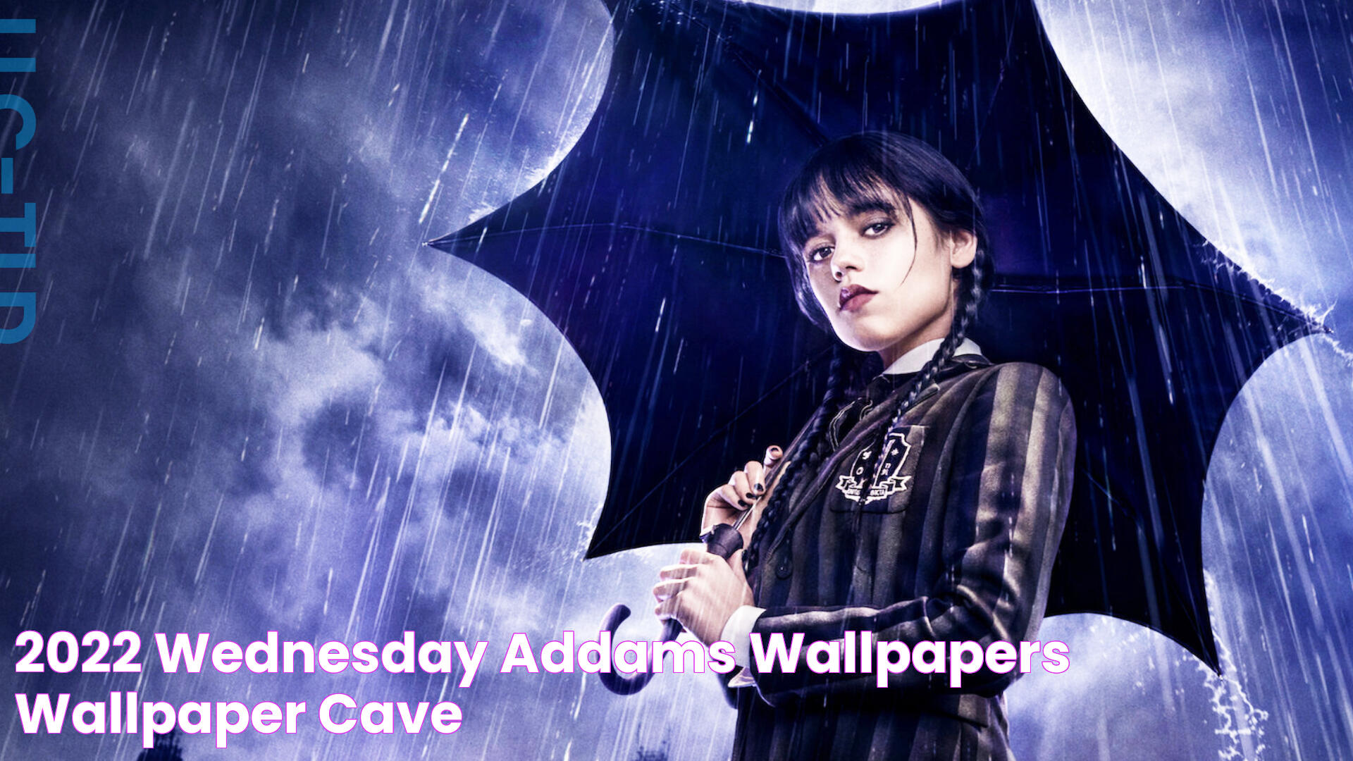 2022 Wednesday Addams Wallpapers Wallpaper Cave