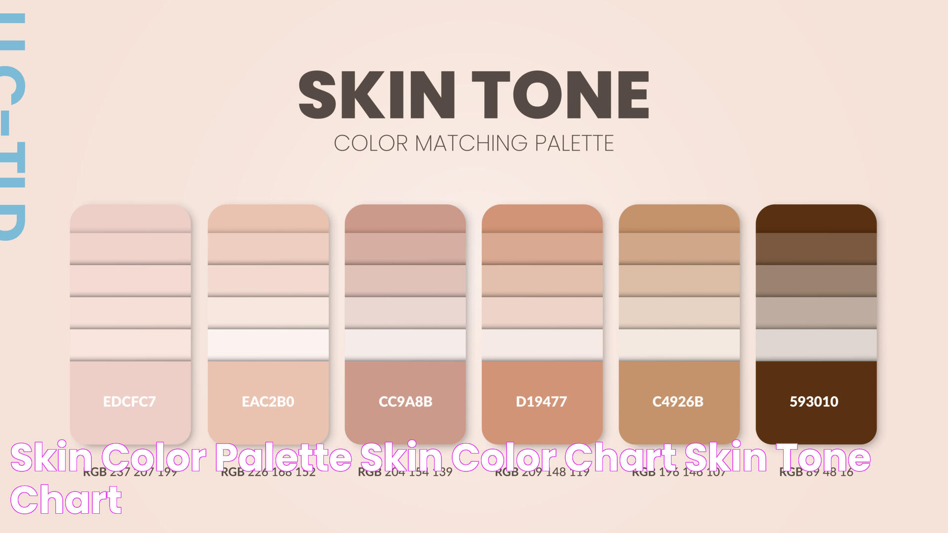 Skin Color Palette Skin Color Chart Skin Tone Chart