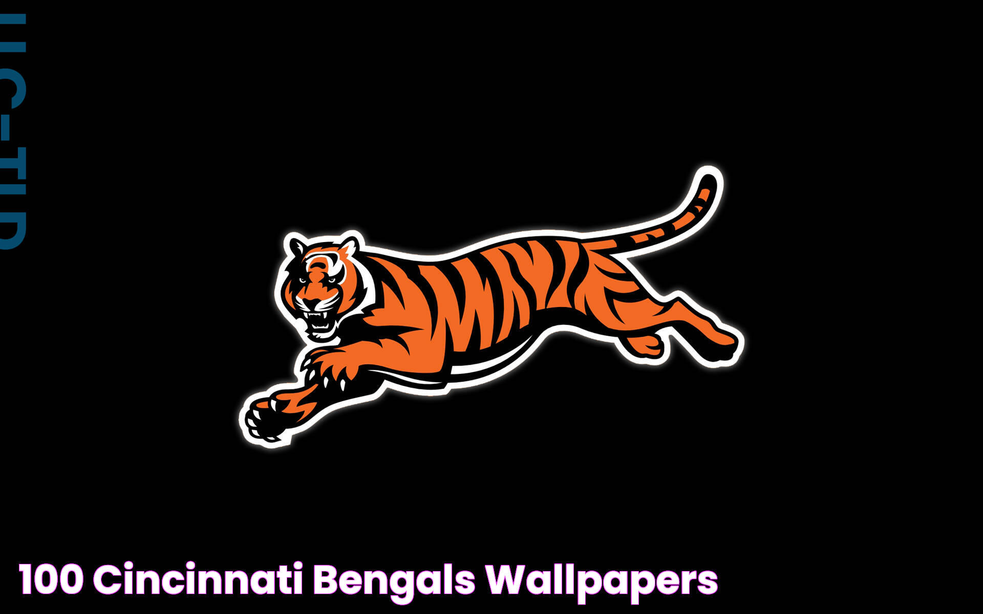 [100+] Cincinnati Bengals Wallpapers