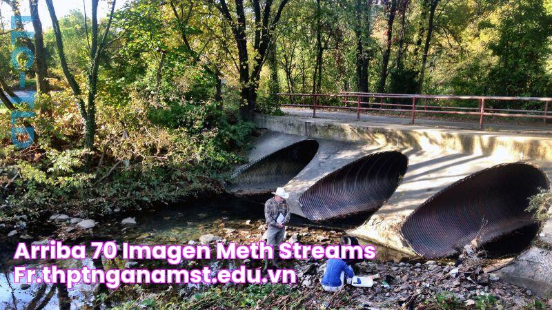 Arriba 70+ imagen meth streams fr.thptnganamst.edu.vn