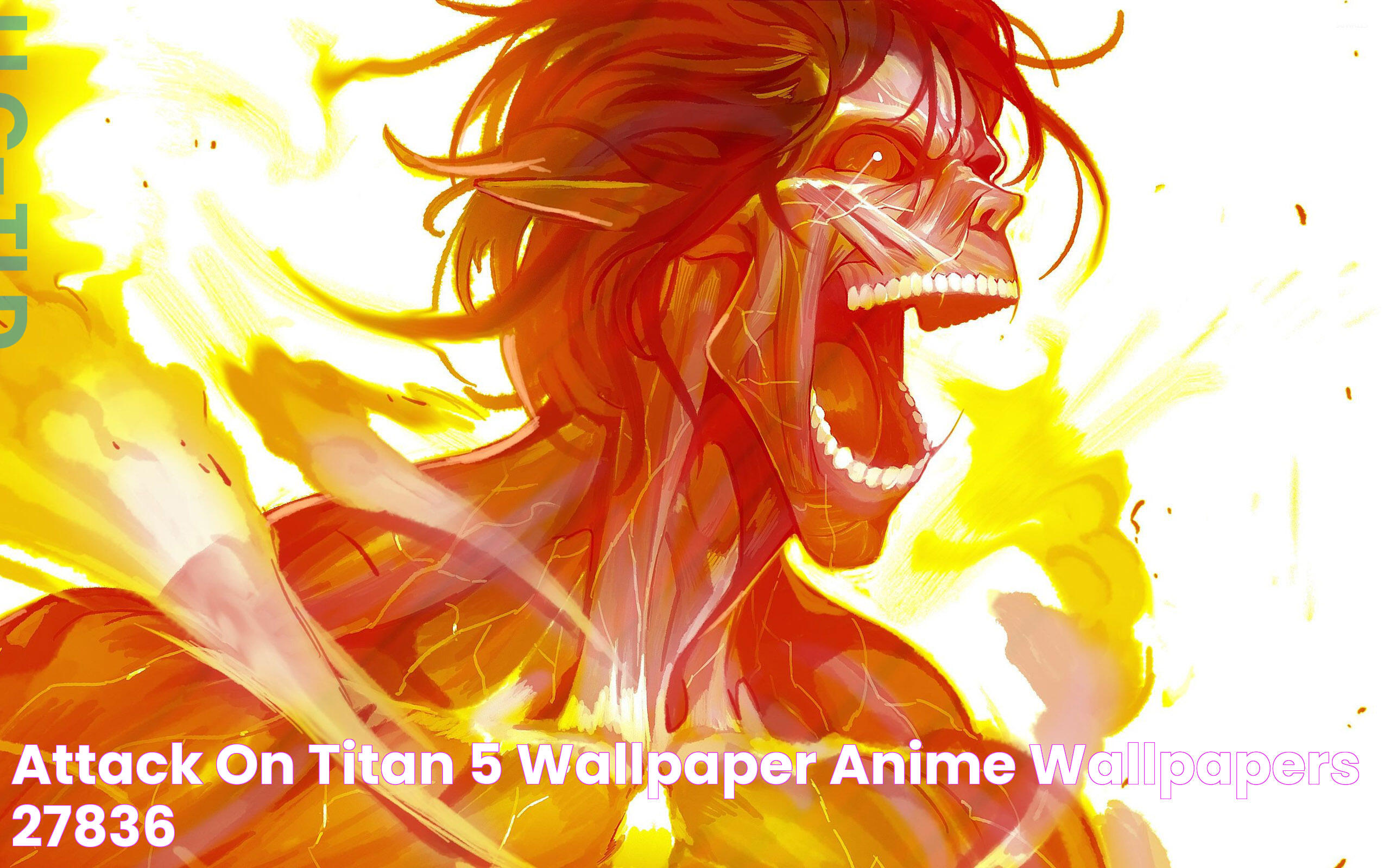 Attack on Titan [5] wallpaper Anime wallpapers 27836