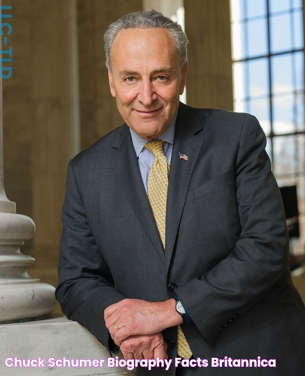 Chuck Schumer Biography & Facts Britannica