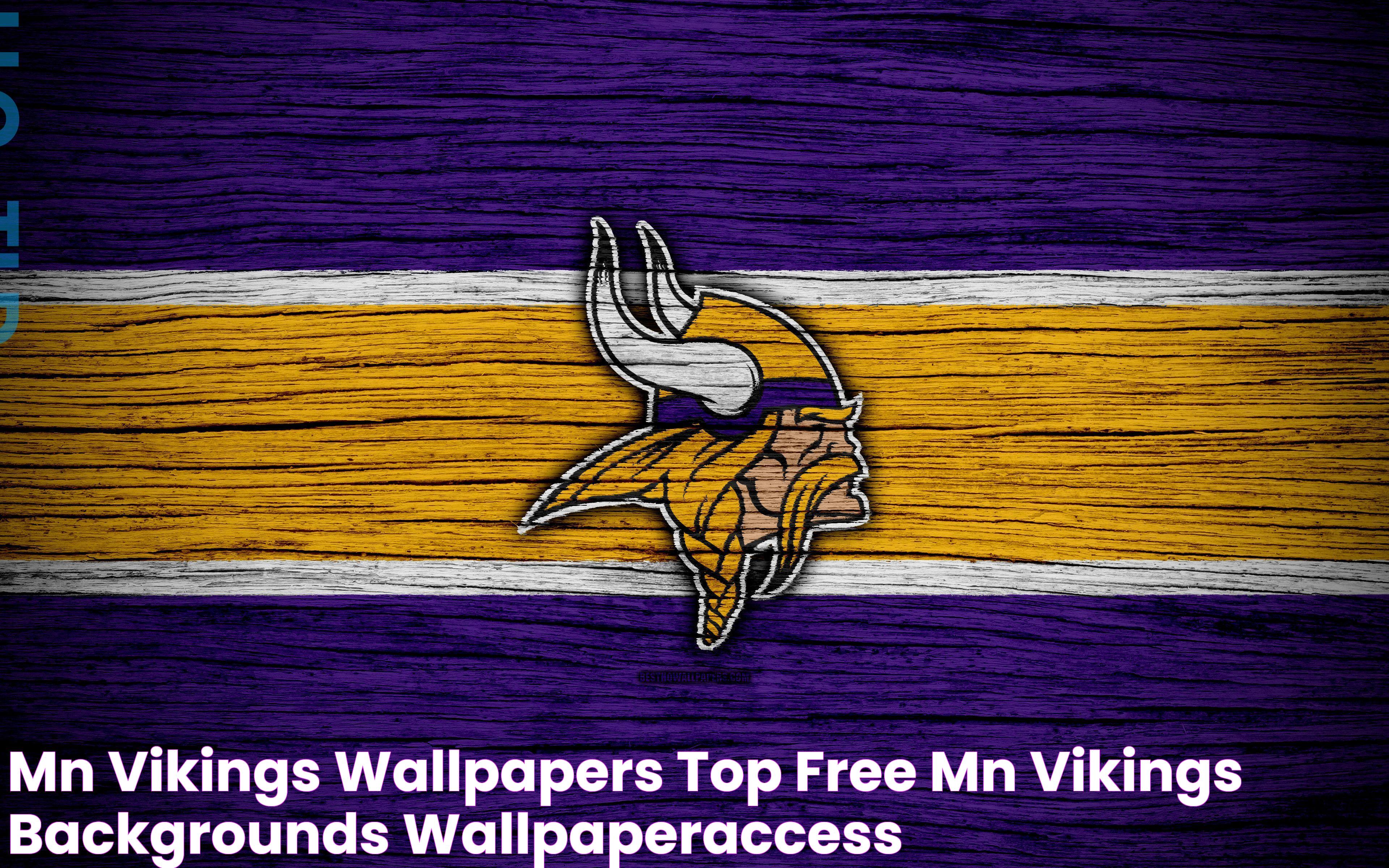 MN Vikings Wallpapers Top Free MN Vikings Backgrounds WallpaperAccess