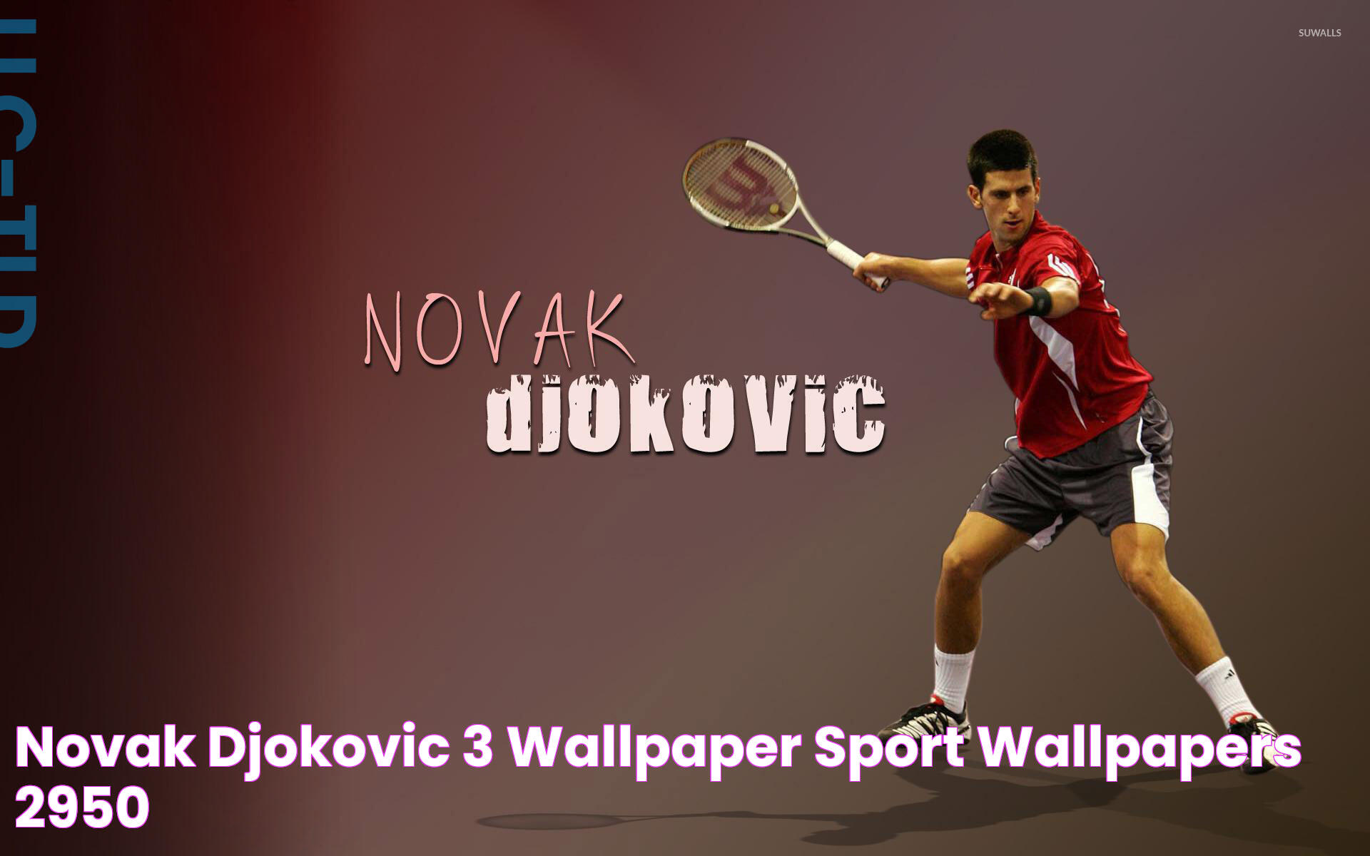 Novak Djokovic [3] wallpaper Sport wallpapers 2950