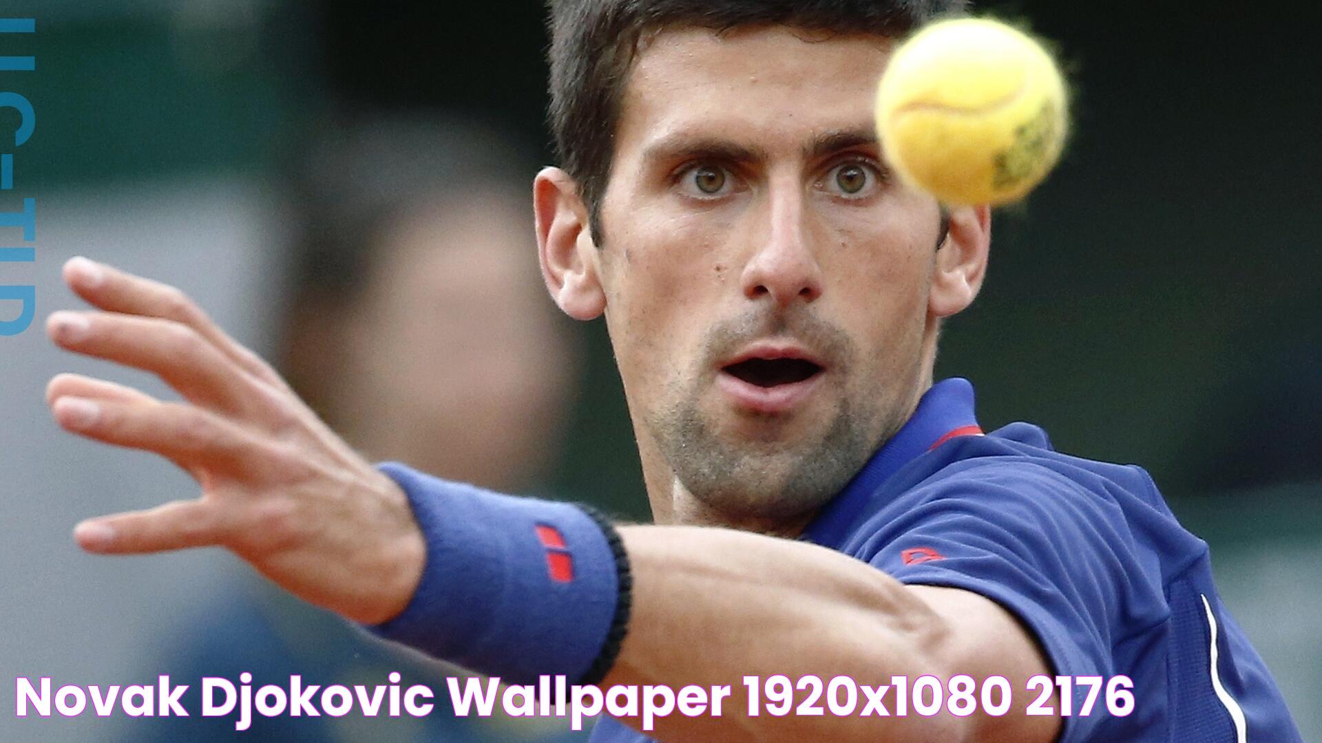 Novak Djokovic wallpaper 1920x1080 2176