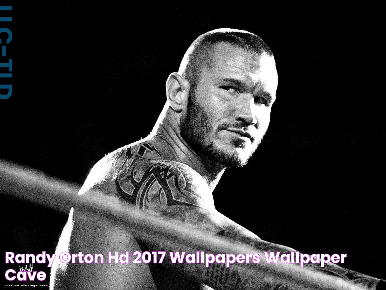 Randy Orton HD 2017 Wallpapers Wallpaper Cave