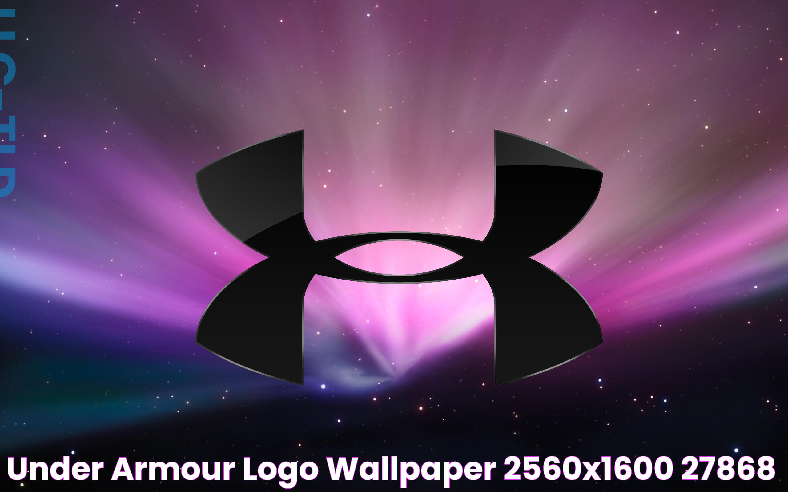 Under Armour Logo wallpaper 2560x1600 27868