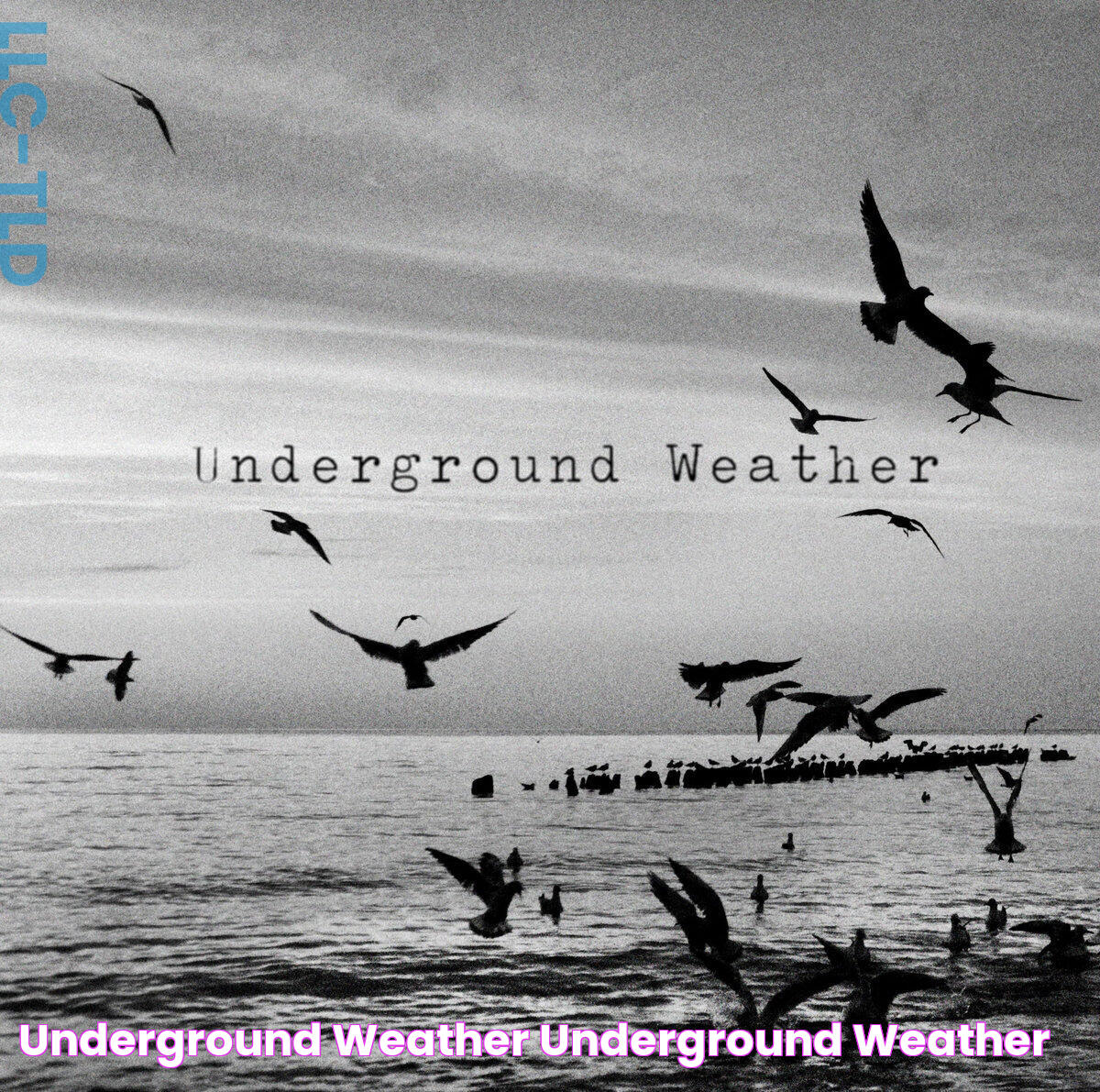 Underground Weather Underground Weather