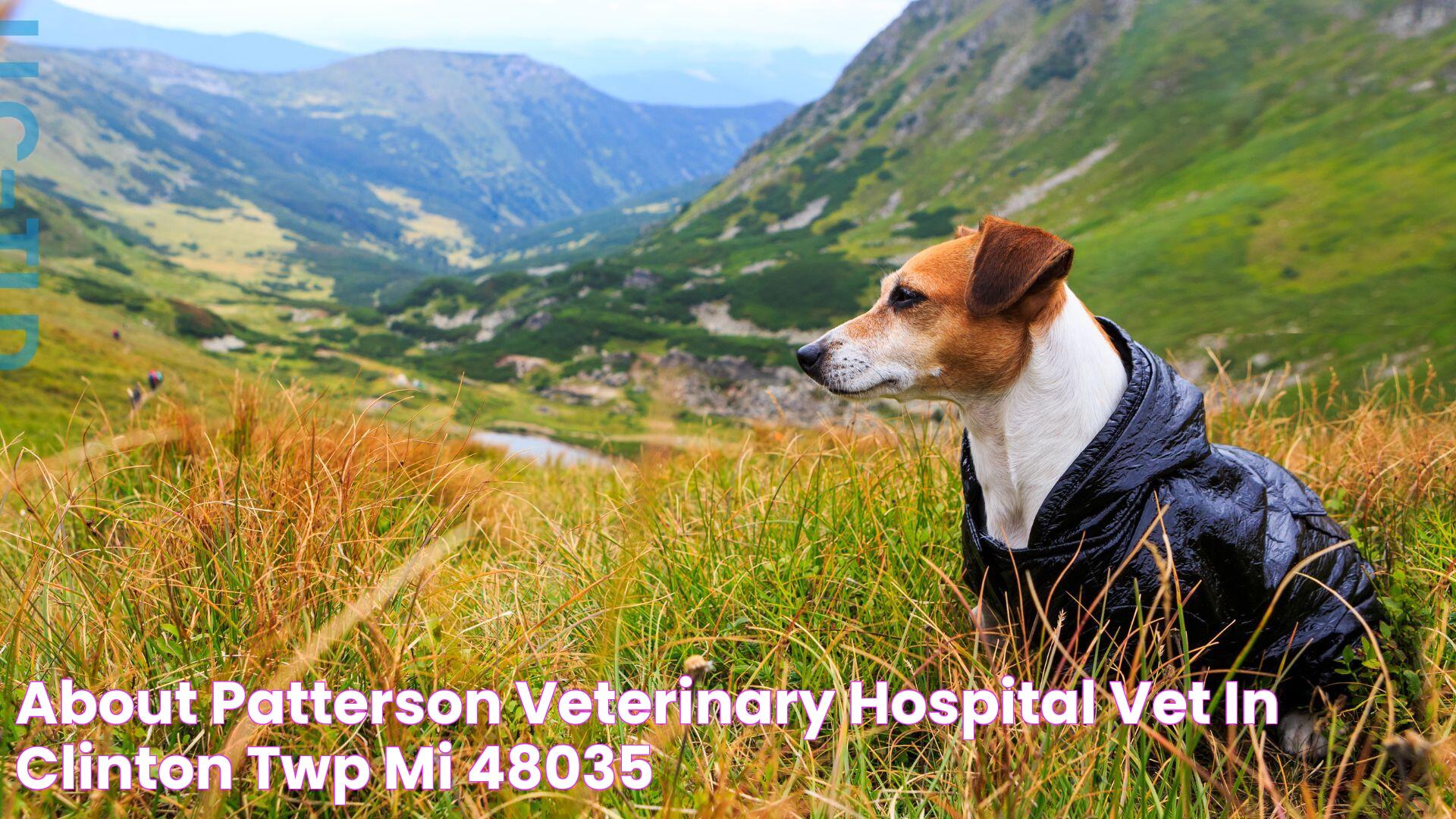 About Patterson Veterinary Hospital Vet In Clinton Twp, MI 48035