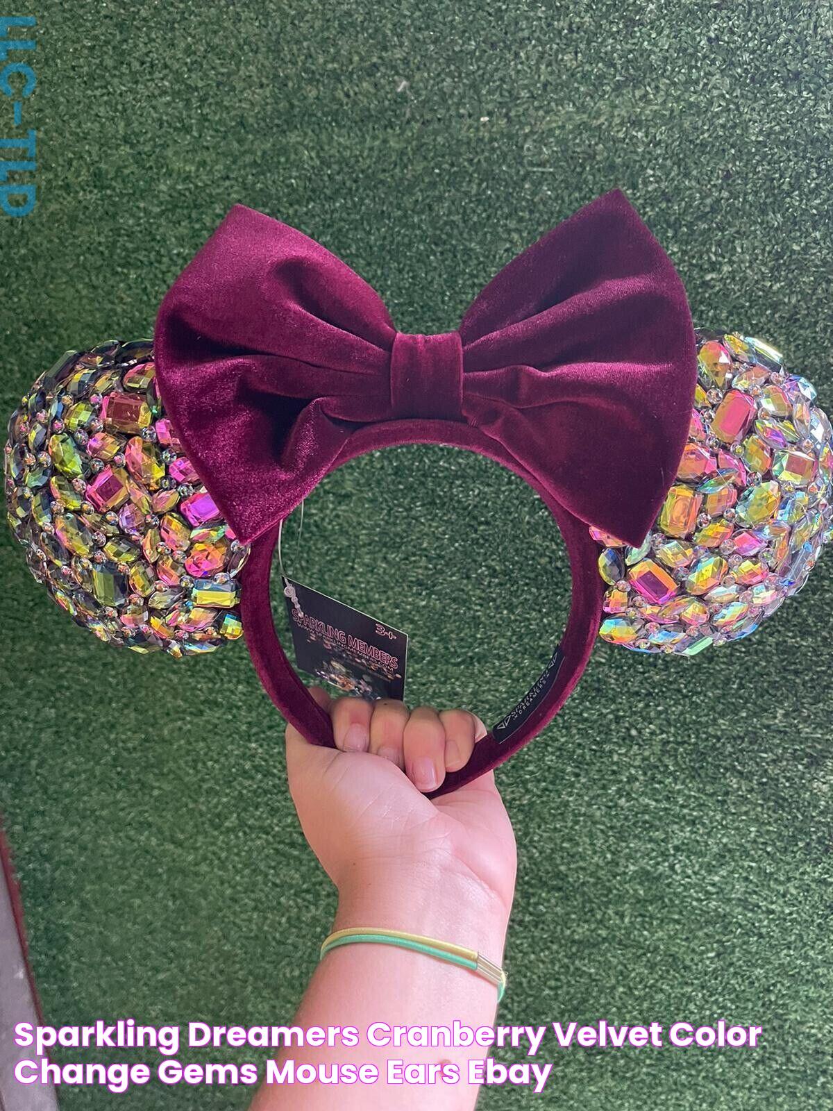 Sparkling Dreamers Cranberry Velvet Color Change Gems Mouse Ears eBay