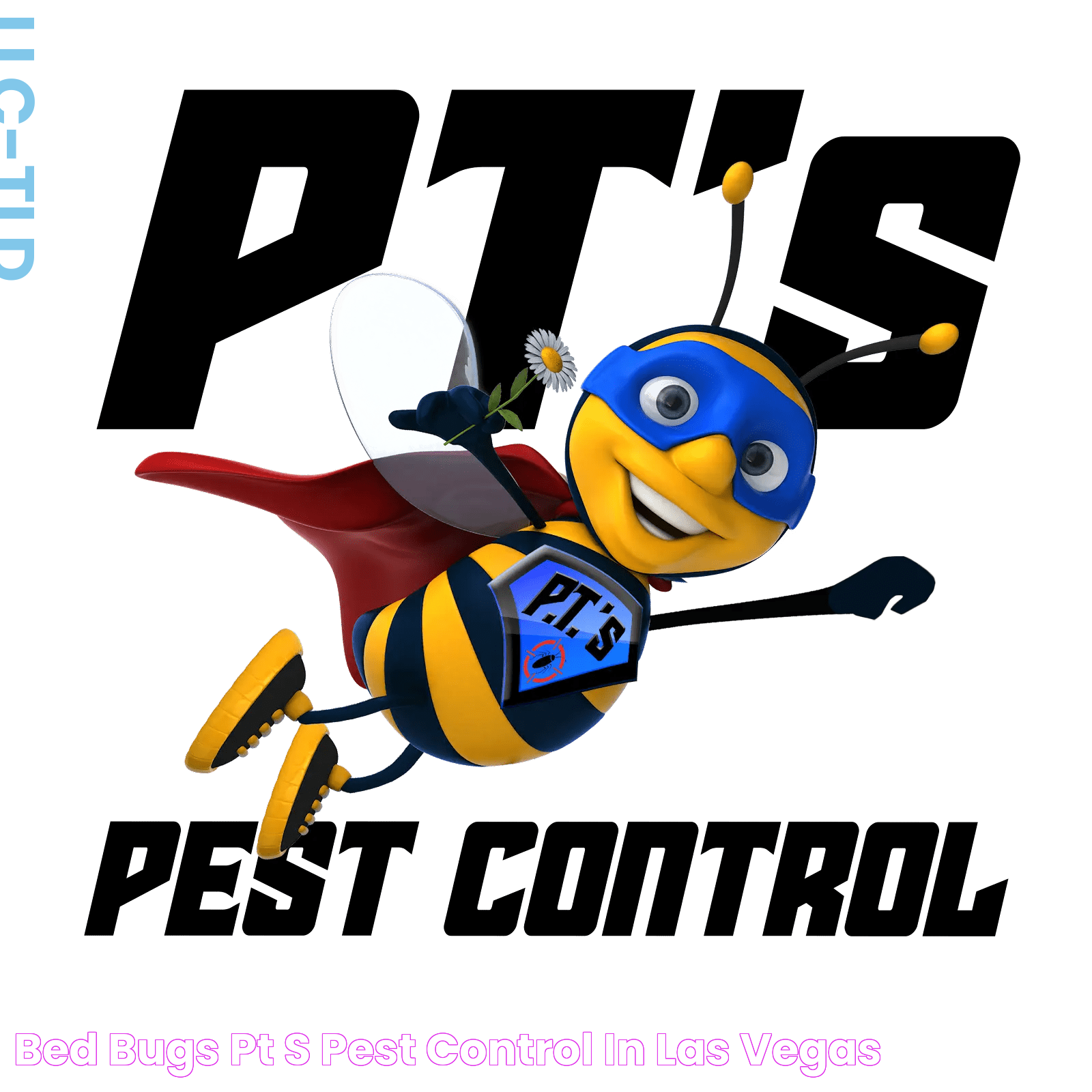 Bed Bugs PT's Pest Control in Las Vegas