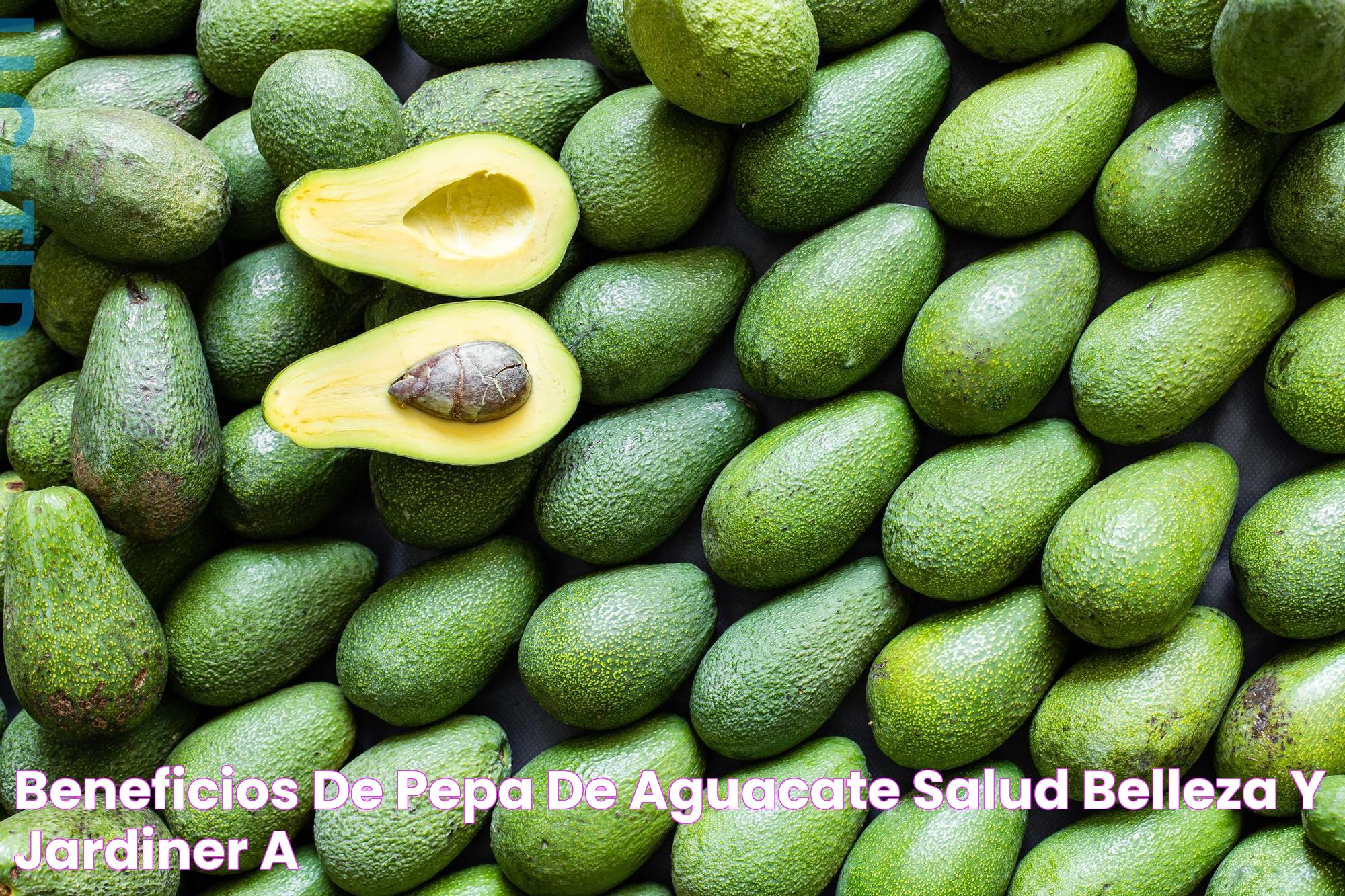 Beneficios de pepa de aguacate Salud, Belleza y Jardinería