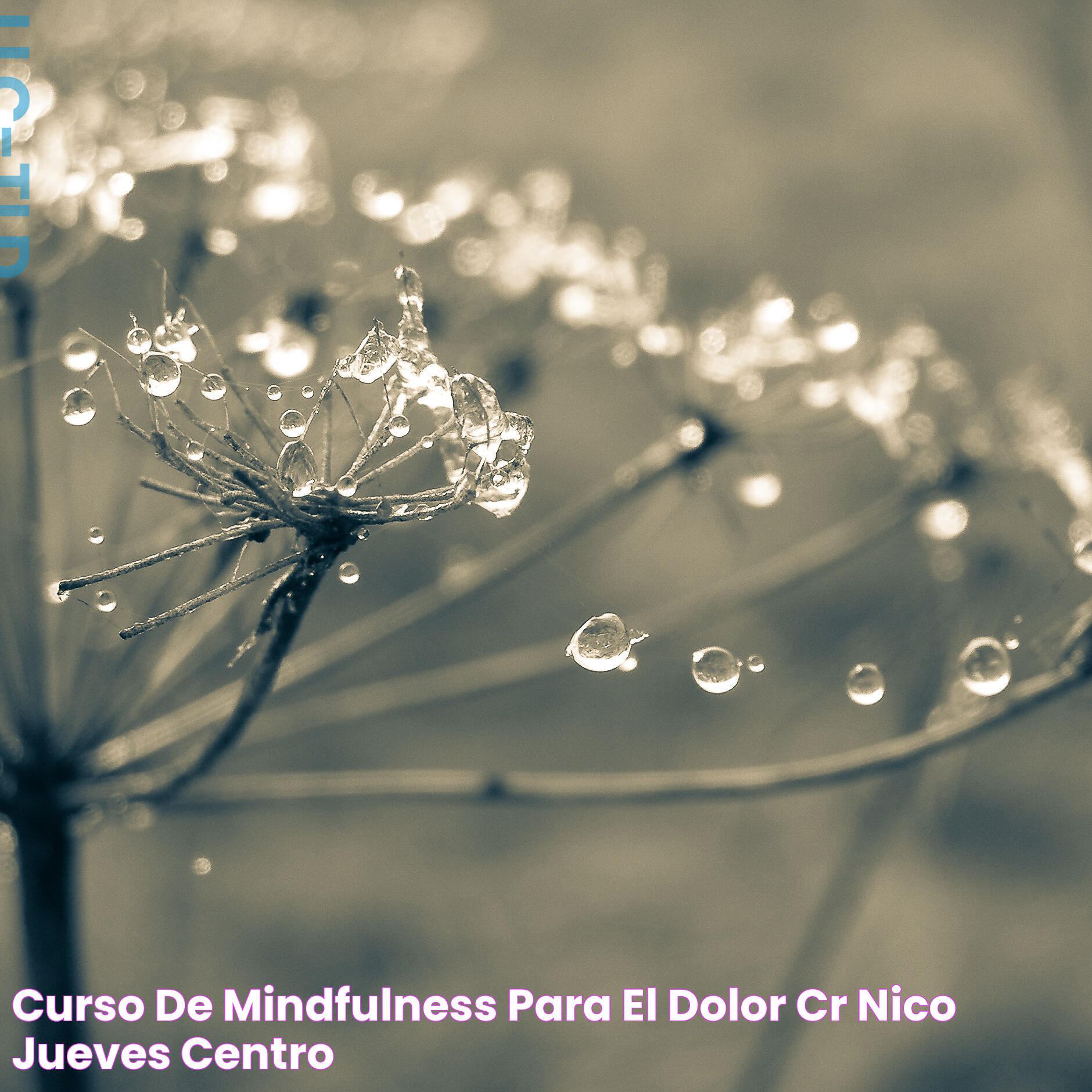 Curso de Mindfulness para el dolor crónico jueves Centro