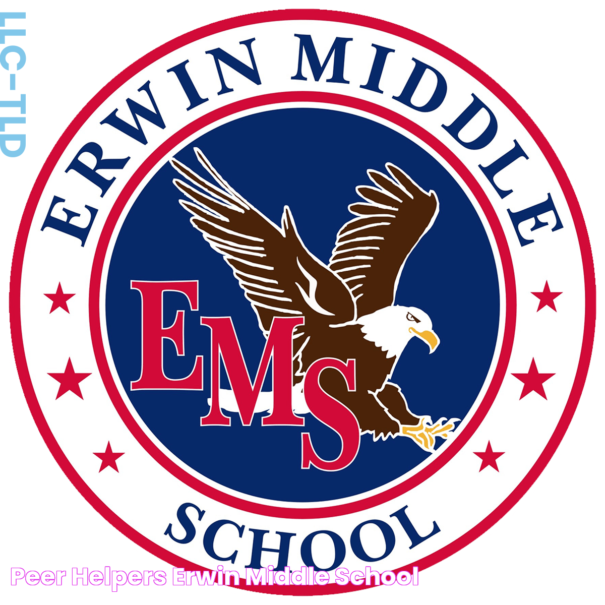 Peer Helpers Erwin Middle School